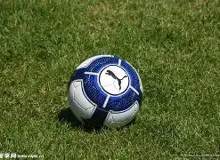 郭昊文孤军,奋战,广东队三冠,乐竞体育官网,APP下载,注册领彩金,官方网站,网站入口