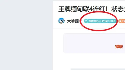 2026篮球盛宴回顾：女篮世界杯与NBA总决赛日程大曝光！